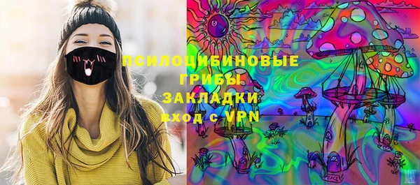 mdpv Новозыбков