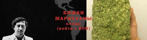 mdpv Новозыбков