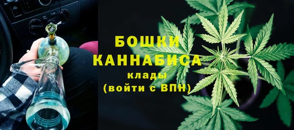 mdpv Новозыбков
