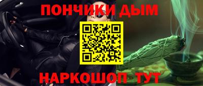МДПВ Камышлов