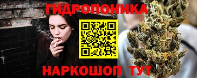 СК Канаш