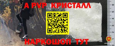 МДПВ Камышлов
