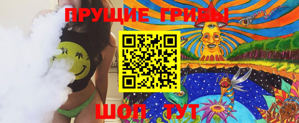 Псилоцибиновые грибы Cubensis Ржев